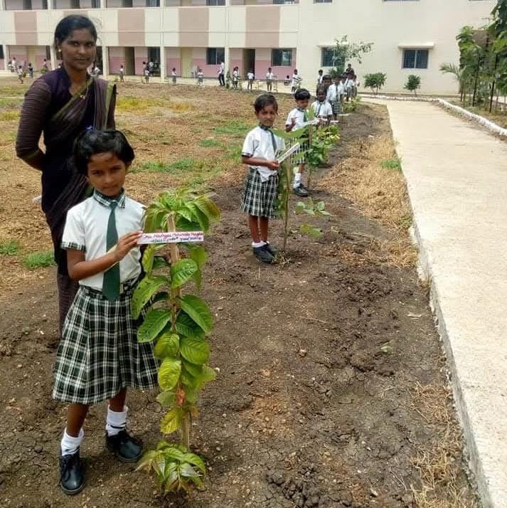 Fruit sapling distribution Independence Day photo