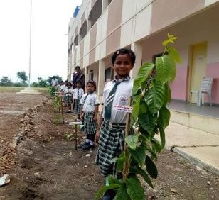 Fruit sapling distribution photo