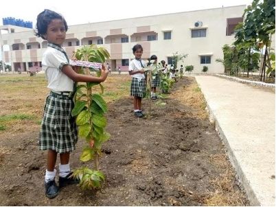 Tree plantation drive photo